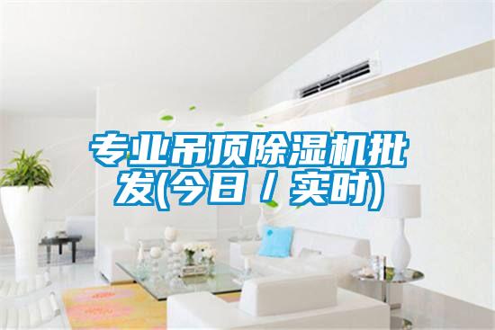 專業(yè)吊頂除濕機(jī)批發(fā)(今日/實(shí)時(shí))