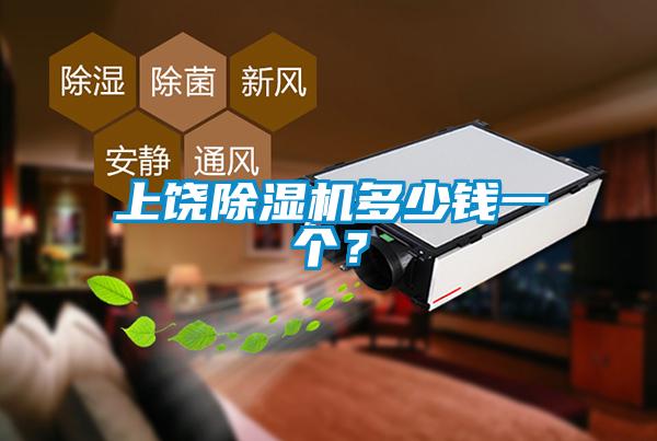 上饒除濕機(jī)多少錢一個(gè)？