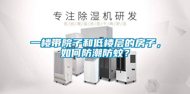 一樓帶院子和低樓層的房子，如何防潮防蚊？