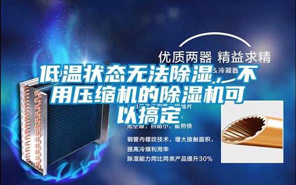 低溫狀態(tài)無法除濕，不用壓縮機的除濕機可以搞定