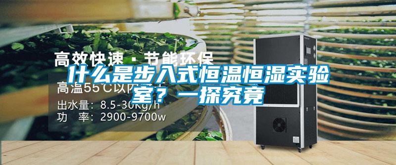 什么是步入式恒溫恒濕實驗室？一探究竟