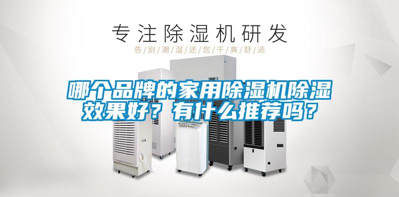 哪個品牌的家用除濕機除濕效果好？有什么推薦嗎？