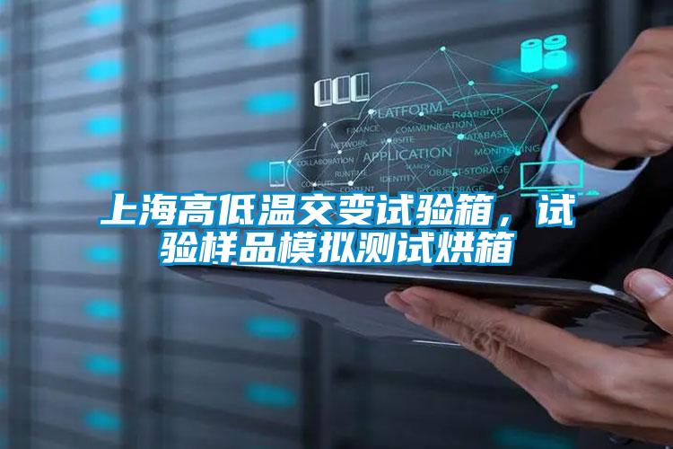 上海高低溫交變試驗箱，試驗樣品模擬測試烘箱