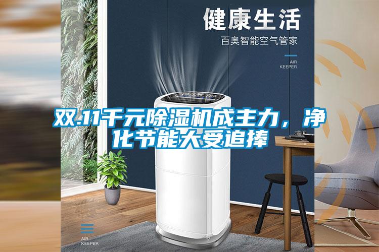 雙.11千元除濕機(jī)成主力，凈化節(jié)能大受追捧