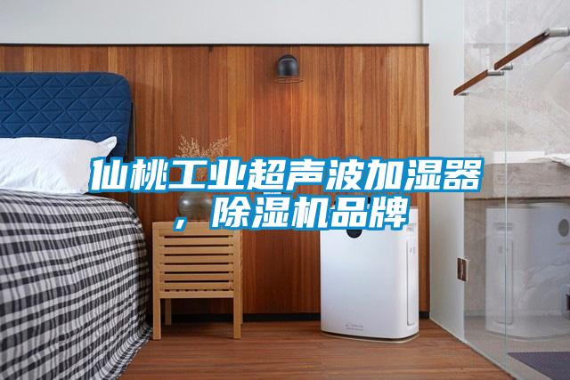 仙桃工業(yè)超聲波加濕器，除濕機品牌