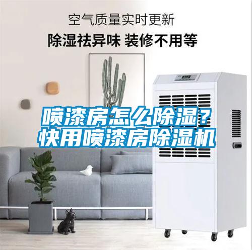 噴漆房怎么除濕？快用噴漆房除濕機(jī)
