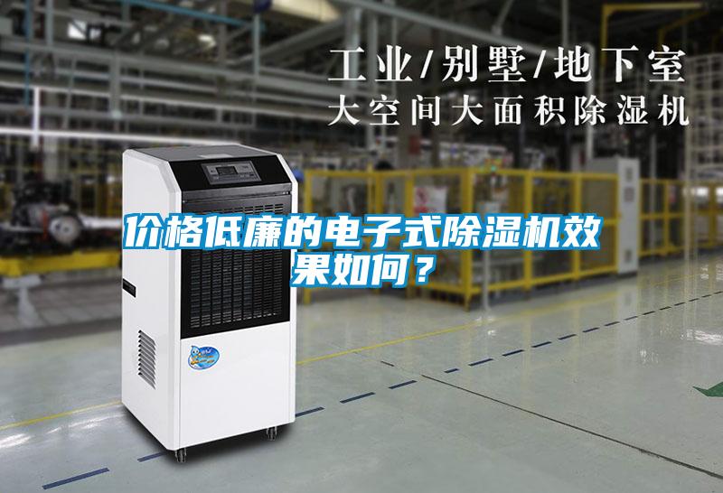 價格低廉的電子式除濕機效果如何？