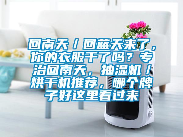 回南天／回藍(lán)天來了，你的衣服干了嗎？專治回南天，抽濕機(jī)／烘干機(jī)推薦，哪個(gè)牌子好這里看過來