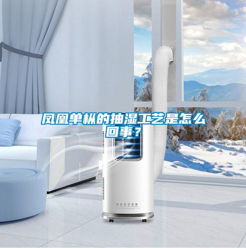 鳳凰單樅的抽濕工藝是怎么回事？