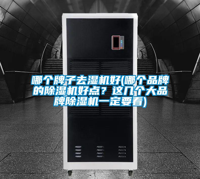 哪個牌子去濕機好(哪個品牌的除濕機好點？這幾個大品牌除濕機一定要看)