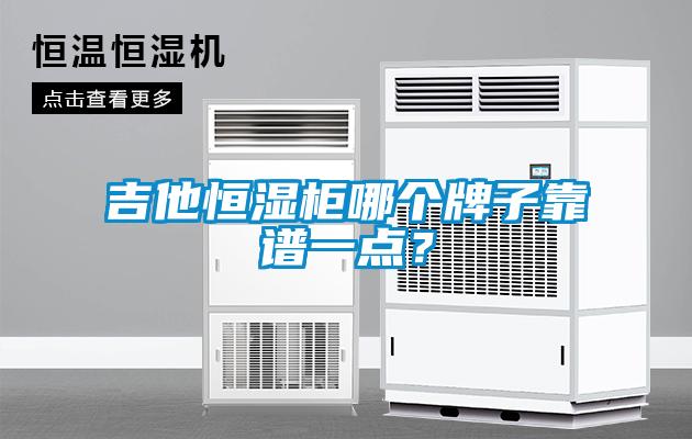 吉他恒濕柜哪個(gè)牌子靠譜一點(diǎn)？
