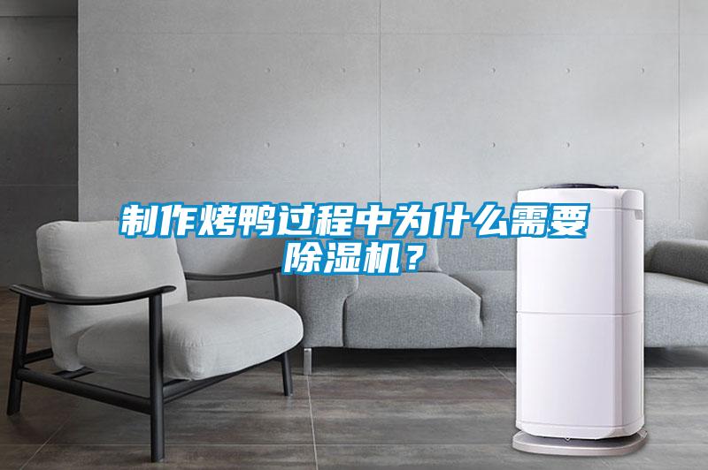 制作烤鴨過(guò)程中為什么需要除濕機(jī)？