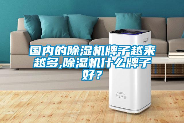 國內的除濕機牌子越來越多,除濕機什么牌子好？