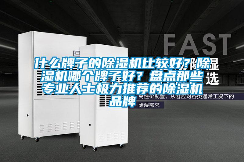 什么牌子的除濕機(jī)比較好？除濕機(jī)哪個(gè)牌子好？盤(pán)點(diǎn)那些專(zhuān)業(yè)人士極力推薦的除濕機(jī)品牌