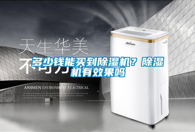 多少錢能買到除濕機？除濕機有效果嗎