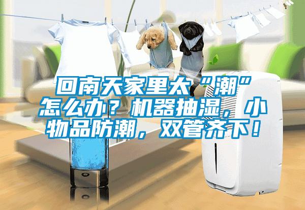 回南天家里太“潮”怎么辦？機(jī)器抽濕，小物品防潮，雙管齊下！