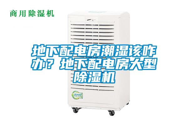 地下配電房潮濕該咋辦？地下配電房大型除濕機(jī)