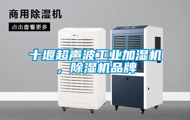 十堰超聲波工業(yè)加濕機，除濕機品牌