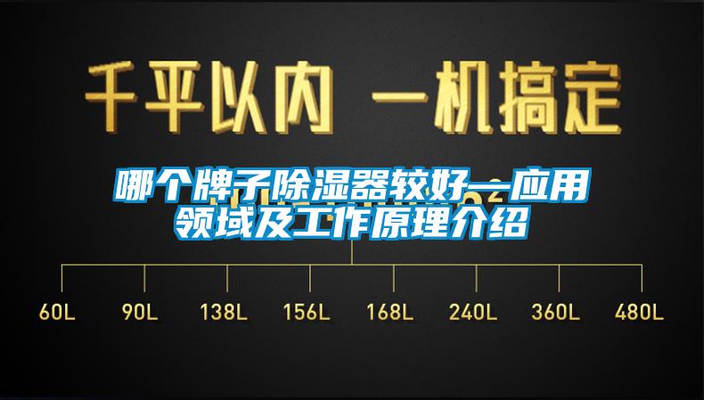 哪個牌子除濕器較好—應用領(lǐng)域及工作原理介紹