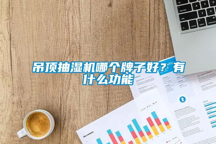 吊頂抽濕機哪個牌子好？有什么功能
