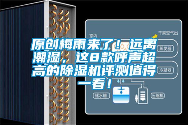 原創(chuàng)梅雨來(lái)了！遠(yuǎn)離潮濕，這8款呼聲超高的除濕機(jī)評(píng)測(cè)值得一看！