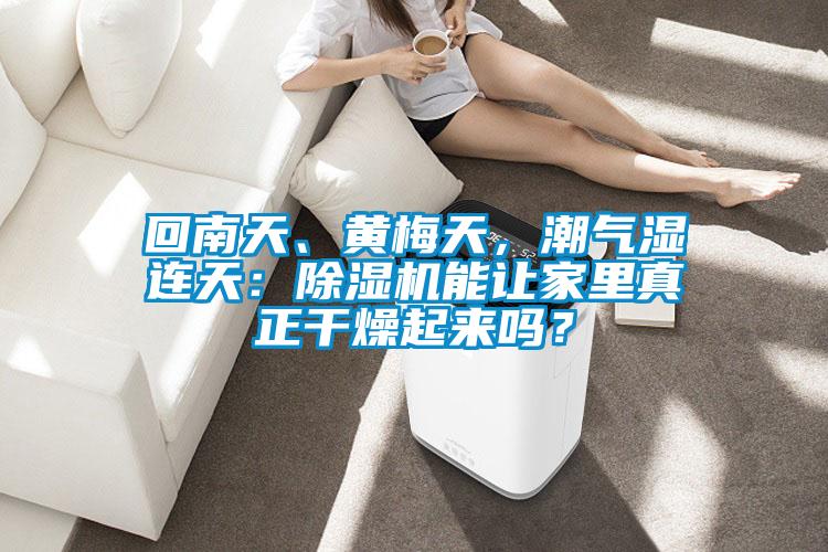 回南天、黃梅天，潮氣濕連天：除濕機能讓家里真正干燥起來嗎？