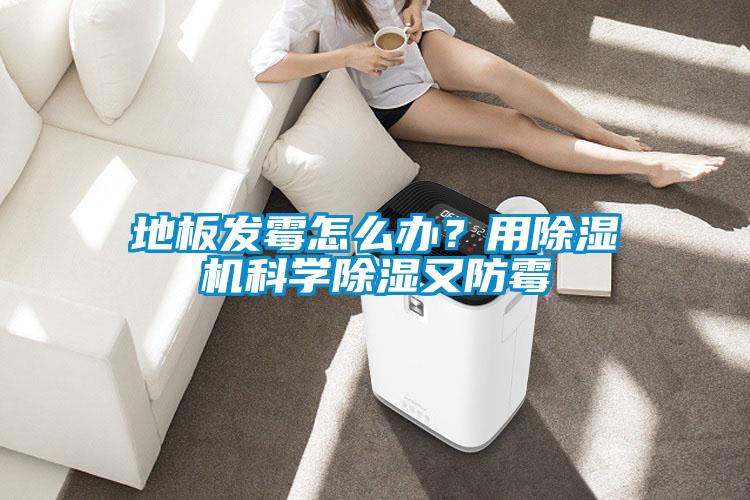 地板發(fā)霉怎么辦？用除濕機(jī)科學(xué)除濕又防霉