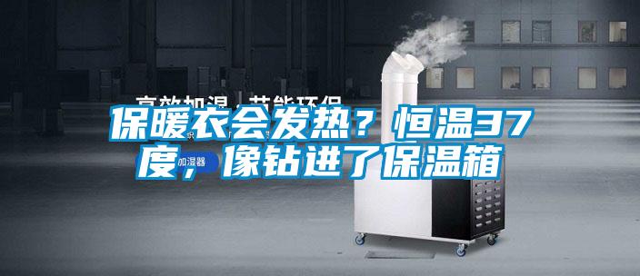 保暖衣會發(fā)熱？恒溫37度，像鉆進了保溫箱