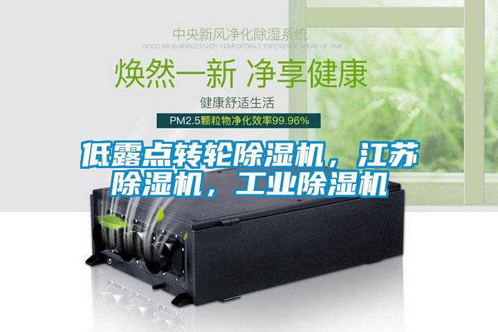 低露點(diǎn)轉(zhuǎn)輪除濕機(jī)，江蘇除濕機(jī)，工業(yè)除濕機(jī)