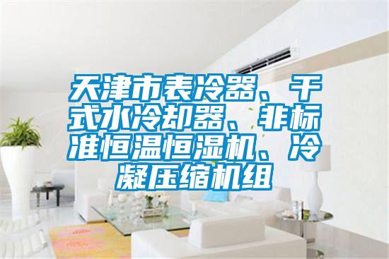 天津市表冷器、干式水冷卻器、非標(biāo)準(zhǔn)恒溫恒濕機(jī)、冷凝壓縮機(jī)組