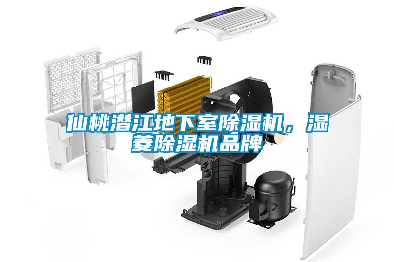 仙桃潛江地下室除濕機，濕菱除濕機品牌
