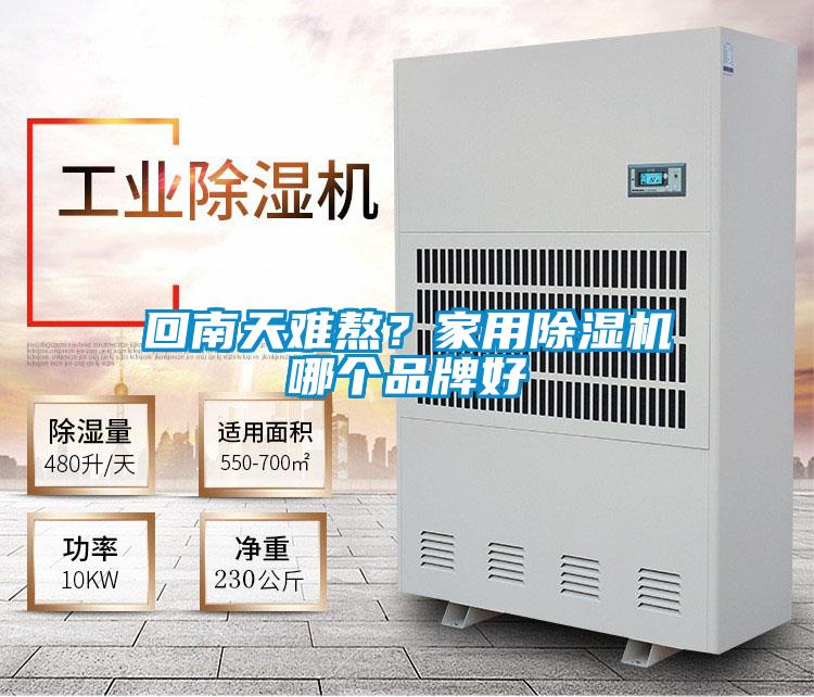 回南天難熬？家用除濕機(jī)哪個(gè)品牌好