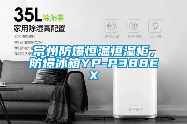 常州防爆恒溫恒濕柜，防爆冰箱YP-P388EX
