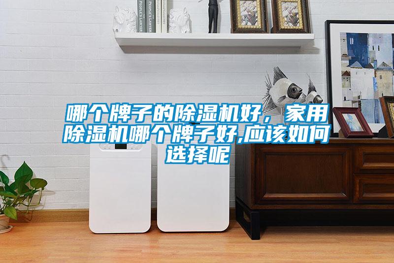 哪個(gè)牌子的除濕機(jī)好，家用除濕機(jī)哪個(gè)牌子好,應(yīng)該如何選擇呢