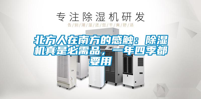 北方人在南方的感觸：除濕機真是必需品，一年四季都要用