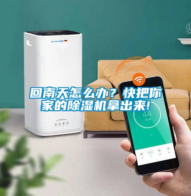 回南天怎么辦？快把你家的除濕機拿出來!