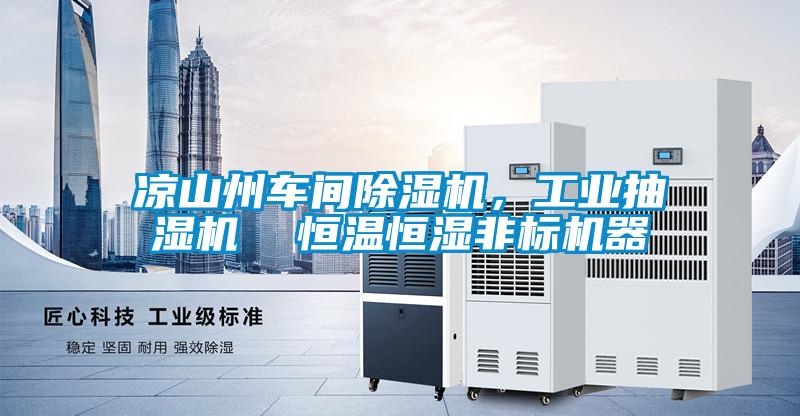涼山州車間除濕機，工業(yè)抽濕機  恒溫恒濕非標(biāo)機器