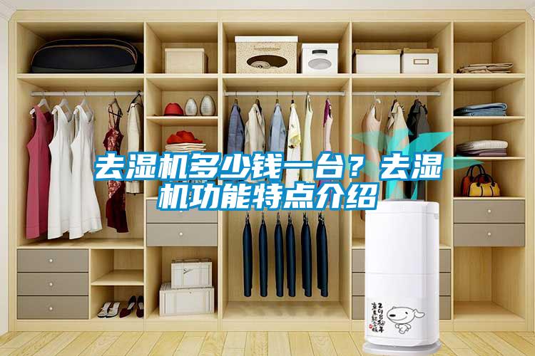 去濕機(jī)多少錢一臺？去濕機(jī)功能特點(diǎn)介紹