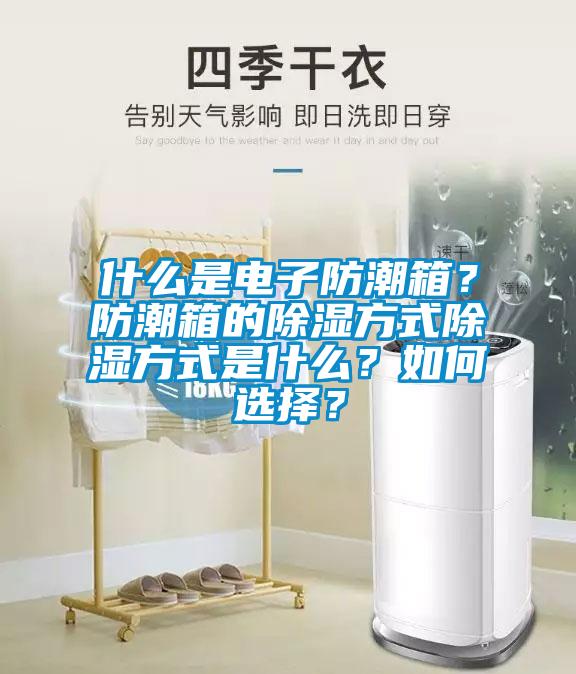 什么是電子防潮箱？防潮箱的除濕方式除濕方式是什么？如何選擇？