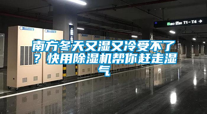 南方冬天又濕又冷受不了？快用除濕機幫你趕走濕氣