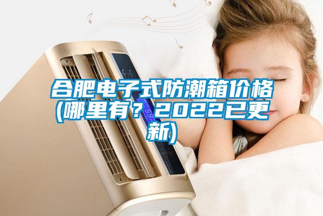 合肥電子式防潮箱價格(哪里有？2022已更新)