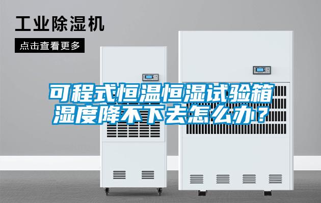 可程式恒溫恒濕試驗(yàn)箱濕度降不下去怎么辦？