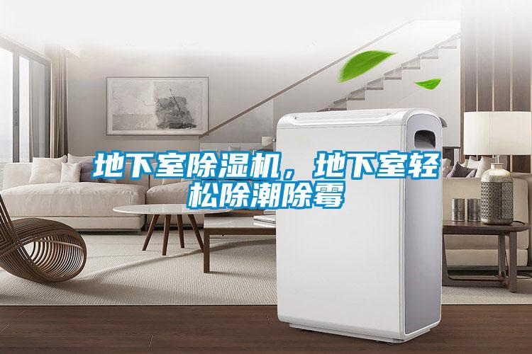 地下室除濕機，地下室輕松除潮除霉