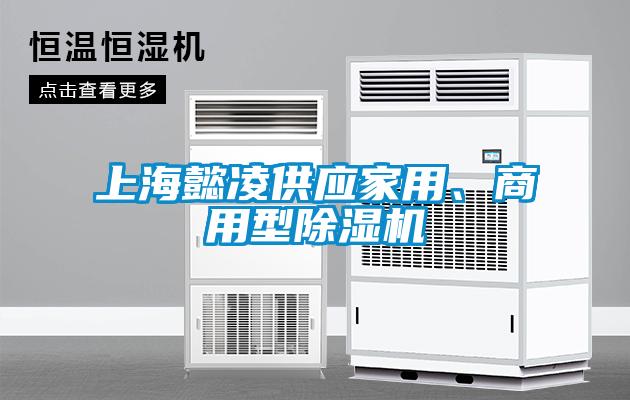 上海懿凌供應(yīng)家用、商用型除濕機