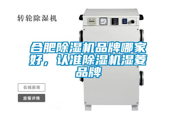 合肥除濕機(jī)品牌哪家好，認(rèn)準(zhǔn)除濕機(jī)濕菱品牌
