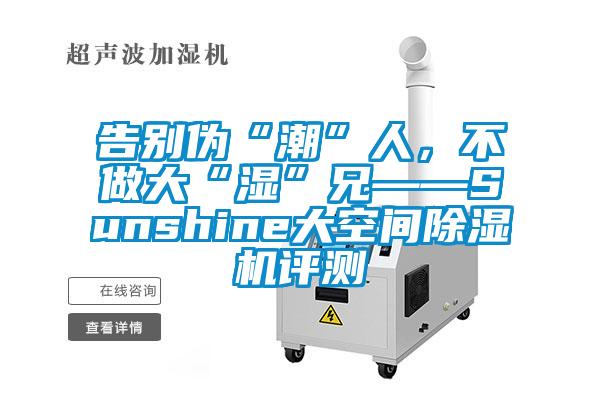 告別偽“潮”人，不做大“濕”兄——Sunshine大空間除濕機(jī)評測