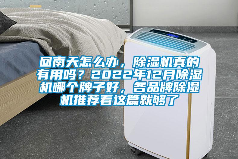 回南天怎么辦，除濕機(jī)真的有用嗎？2022年12月除濕機(jī)哪個牌子好，各品牌除濕機(jī)推薦看這篇就夠了