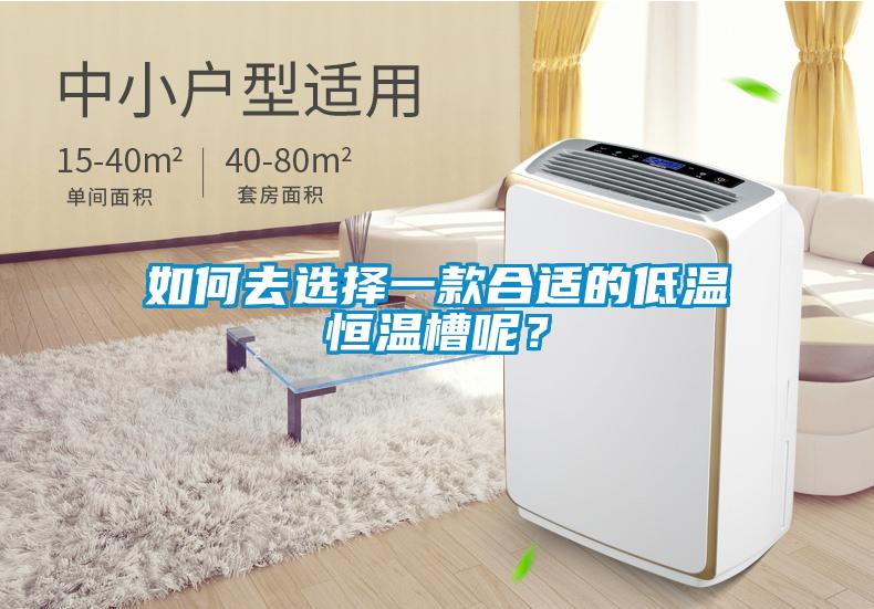 如何去選擇一款合適的低溫恒溫槽呢？