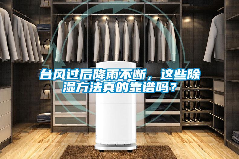 臺(tái)風(fēng)過(guò)后降雨不斷，這些除濕方法真的靠譜嗎？