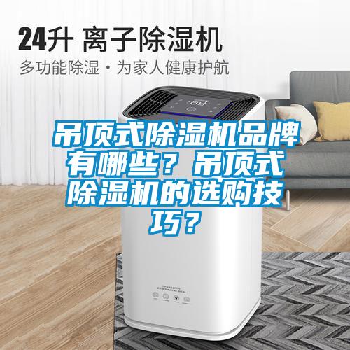吊頂式除濕機品牌有哪些？吊頂式除濕機的選購技巧？